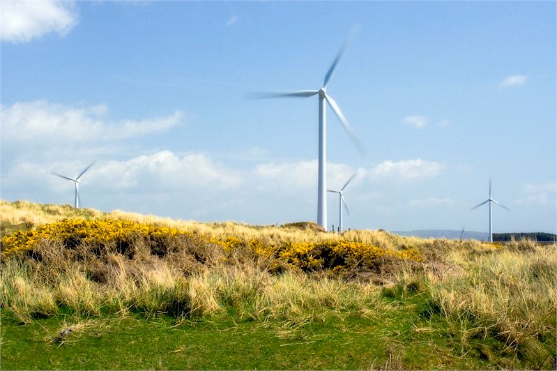 Wind Powered Hosting